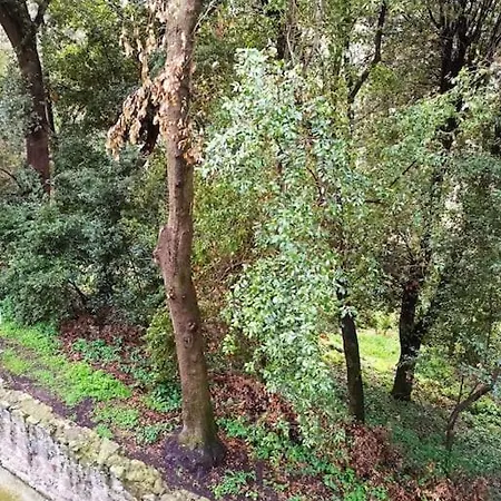 Turistico Casina Margherita * Roccalvecce
